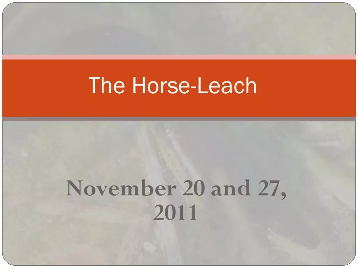 the horse leach