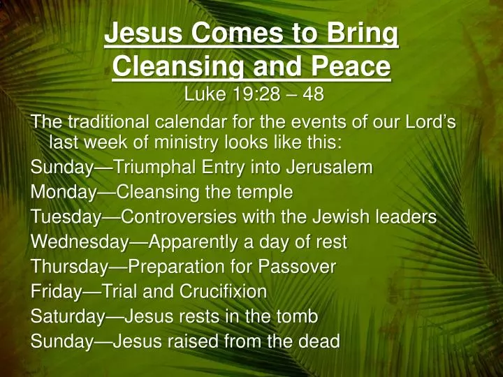 jesus comes to bring cleansing and peace luke 19 28 48