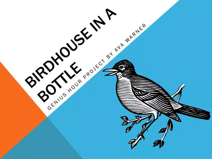 birdhouse in a bottle