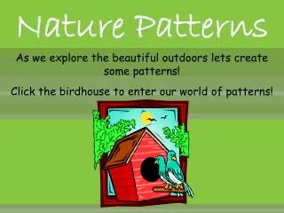 Nature Patterns