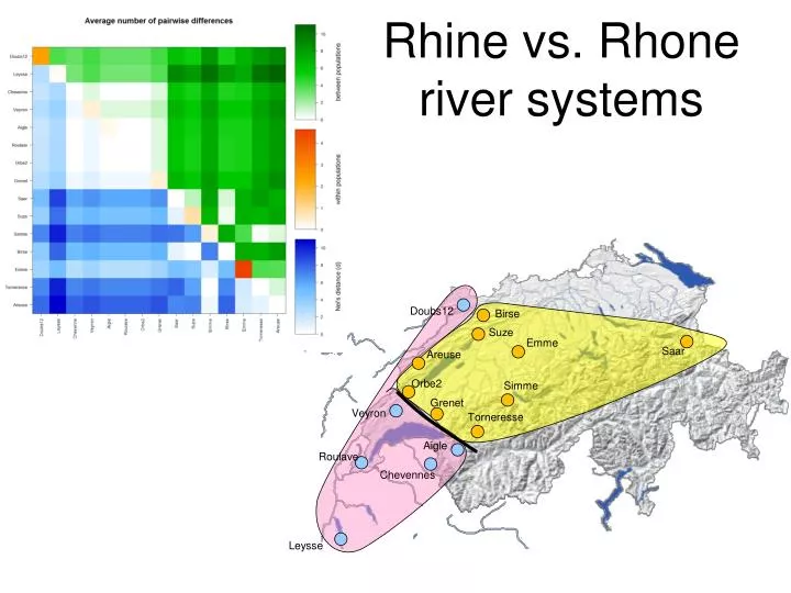 rhine vs rhone river systems