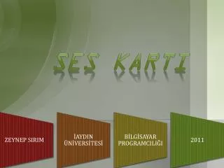 ses karti