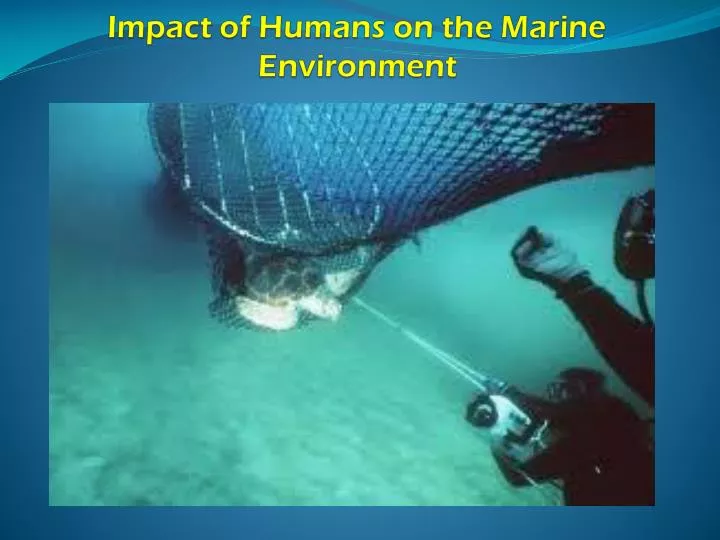 impact of humans on the marine environment