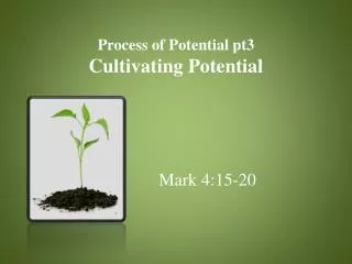 Process of Potential pt3 Cultivating Potential