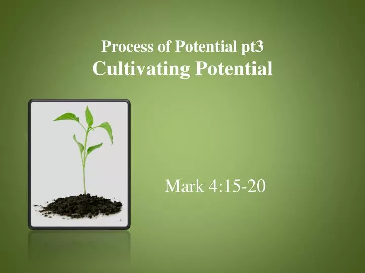 process of potential pt3 cultivating potential