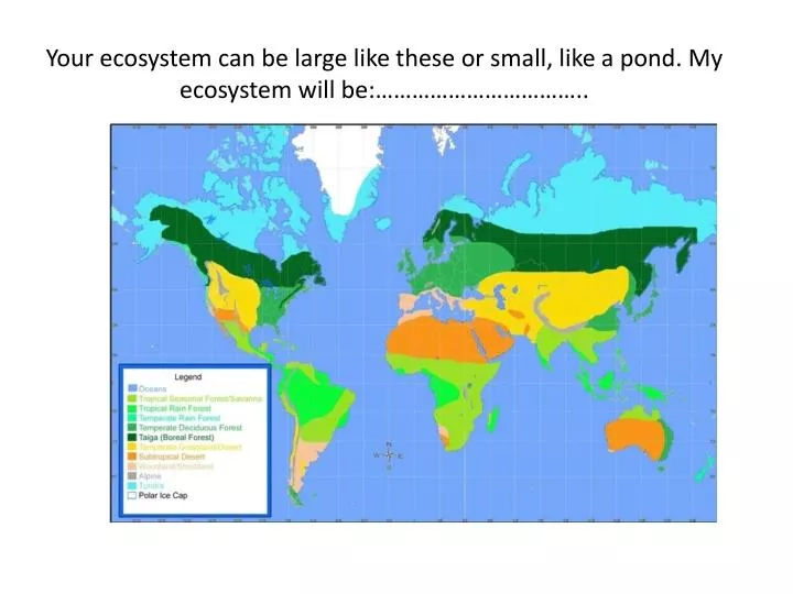 y our ecosystem can be large like these or small like a pond my ecosystem will be