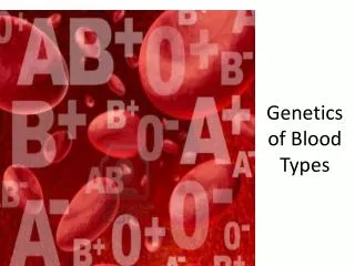 PPT - Blood-Type Genetics PowerPoint Presentation, Free Download - ID ...