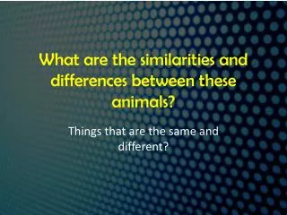 What are the similarities and differences between these animals?