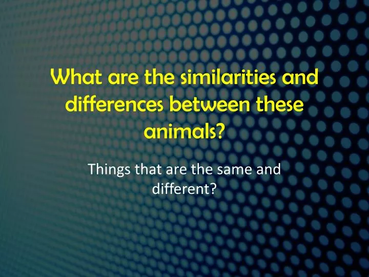 what are the similarities and differences between these animals