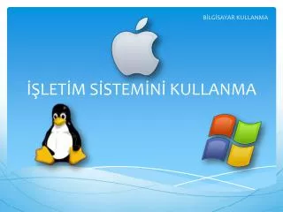 let m s stem n kullanma