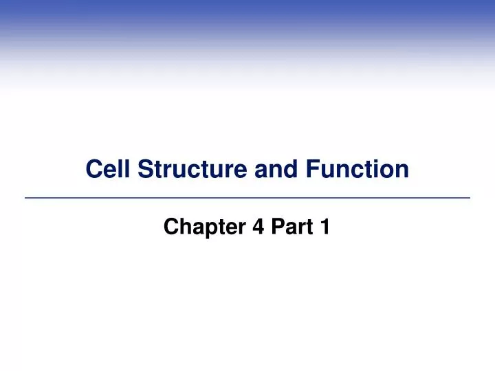 cell structure and function