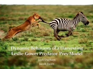 Dynamic Behaviors of a Harvesting Leslie-Gower Predator-Prey Model