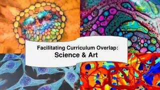 Facilitating Curriculum Overlap: Science &amp; Art