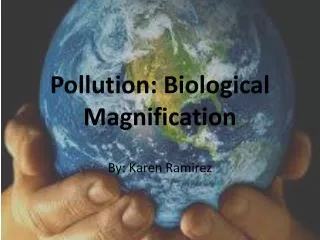 Pollution: Biological Magnification