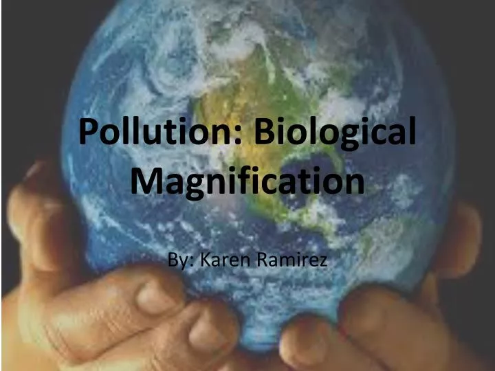 pollution biological magnification