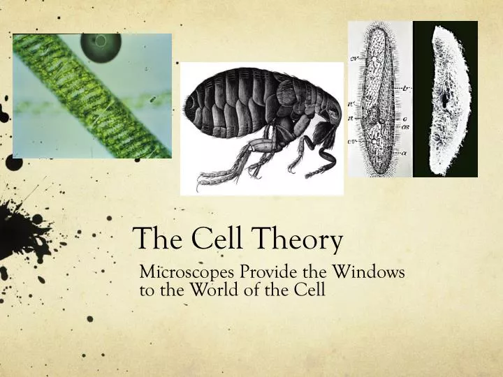 the cell theory