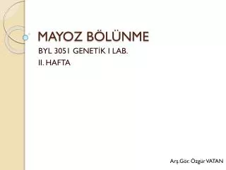 mayoz b l nme