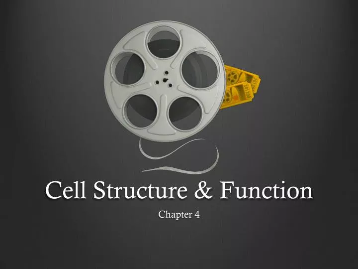 cell structure function