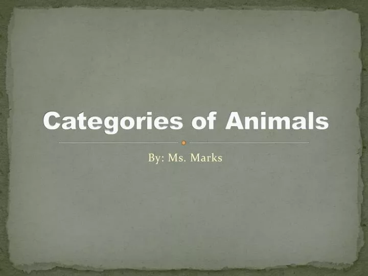 categories of animals