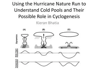 Using the Hurricane Nature Run to Understand Cold Pools and Their Possible Role in Cyclogenesis