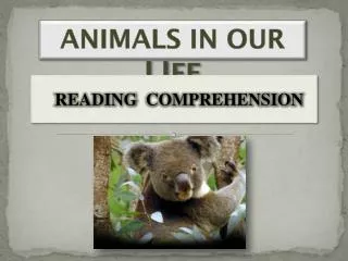 ANIMALS IN OUR LI FE