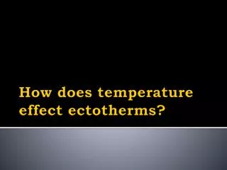 How does temperature effect ectotherms ?