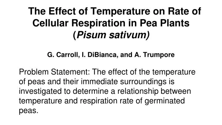 the effect of temperature on rate of cellular respiration in pea plants pisum sativum