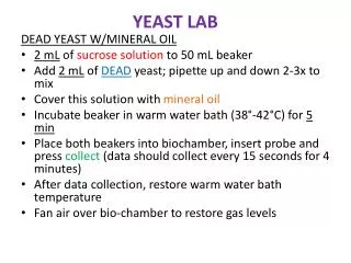 YEAST LAB