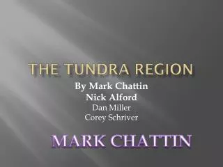 the tundra region