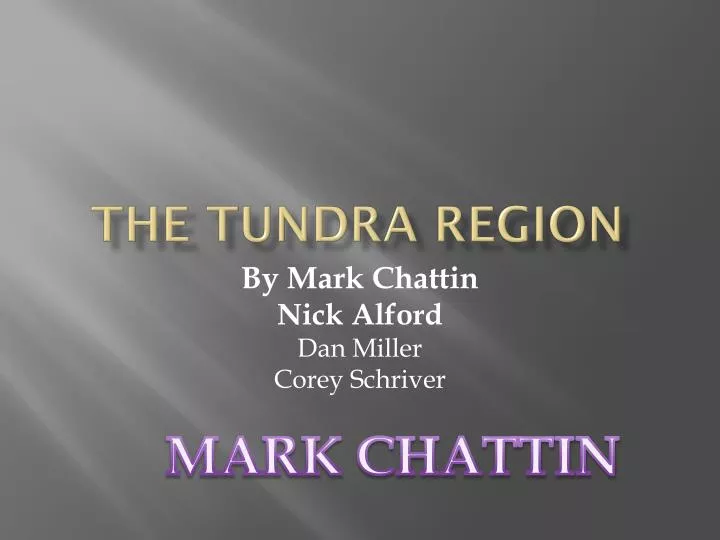 the tundra region