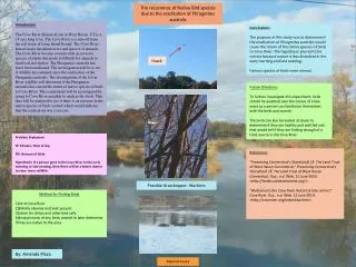 Problem Statement IV: Climate, Time of day DV: Amount of birds