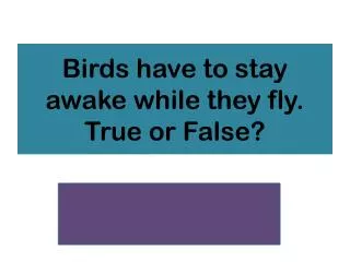 Birds have to stay awake while they fly. True or False?