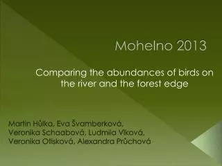 Mohelno 2013