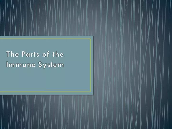 the parts of the immune system
