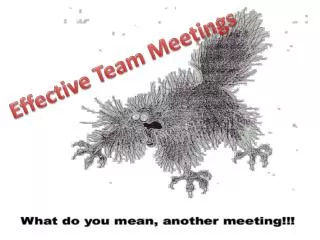 Effective Team Meetings