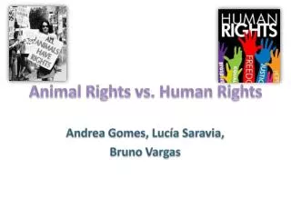 Animal Rights vs. Human Rights
