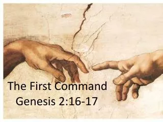 The First Command Genesis 2:16-17
