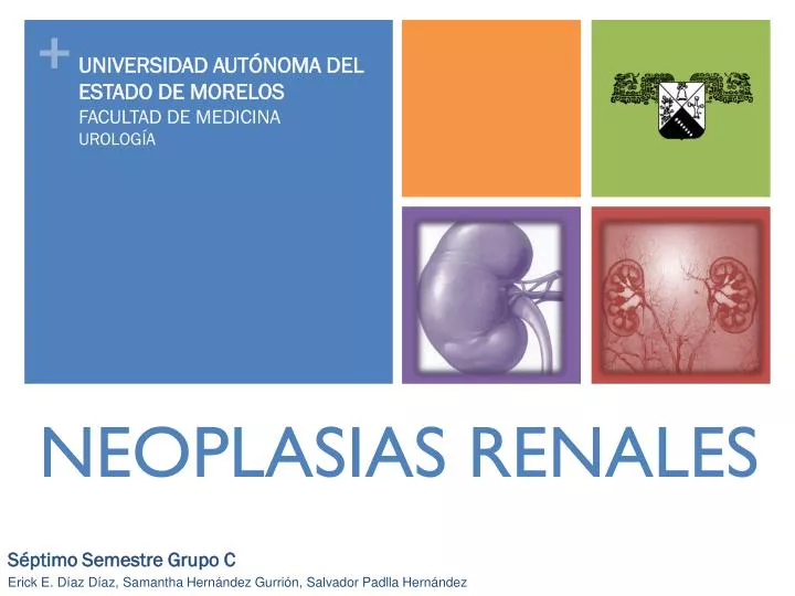 neoplasias renales