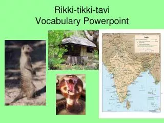Rikki-tikki-tavi Vocabulary Powerpoint