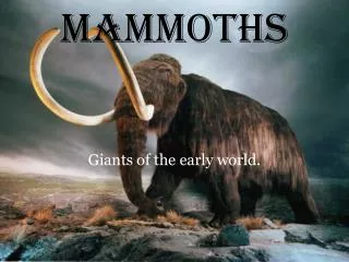 MAMMOTHS