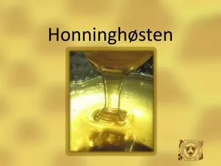 honningh sten