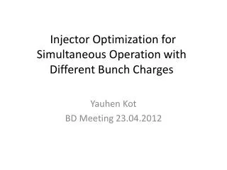 Injector O ptimization for S imultaneous O peration with Different B unch C harges