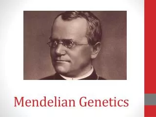 mendelian genetics