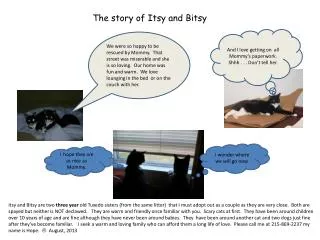 The story of Itsy and Bitsy