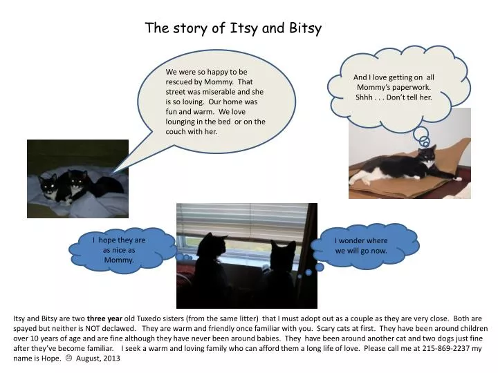 the story of itsy and bitsy