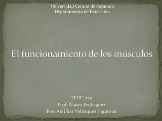 el funcionamiento de los m sculos