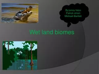 Wet land biomes