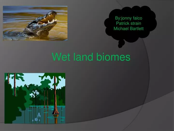 wet land biomes