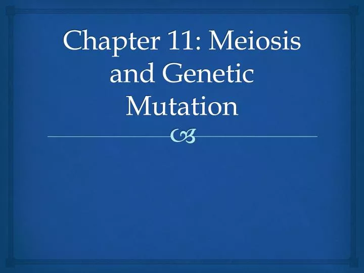 chapter 11 meiosis and genetic mutation