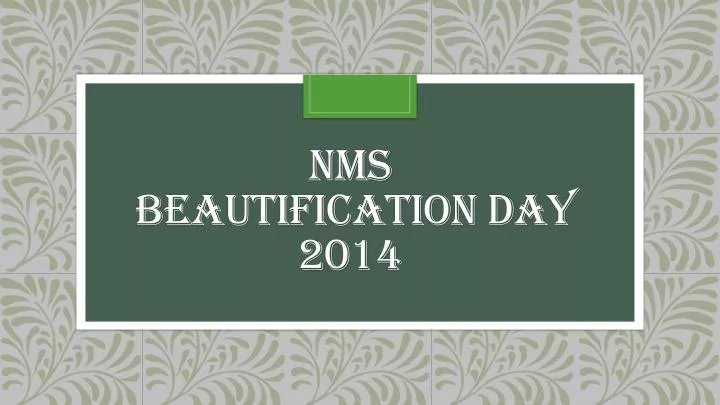 nms beautification day 2014